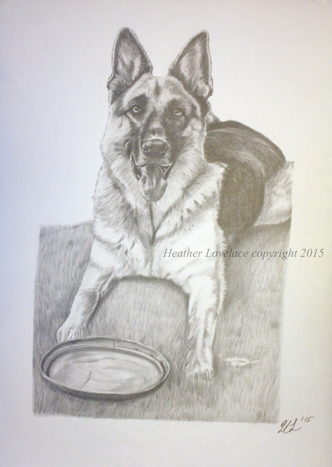 A commissioned portrait of their black/tan German Shepherd. Staedtler Mars Lumograph graphite pencils  used on 18?X24? Canson paper.