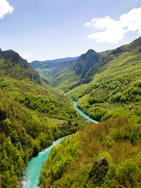 The canyon of Tara River in Montenegro