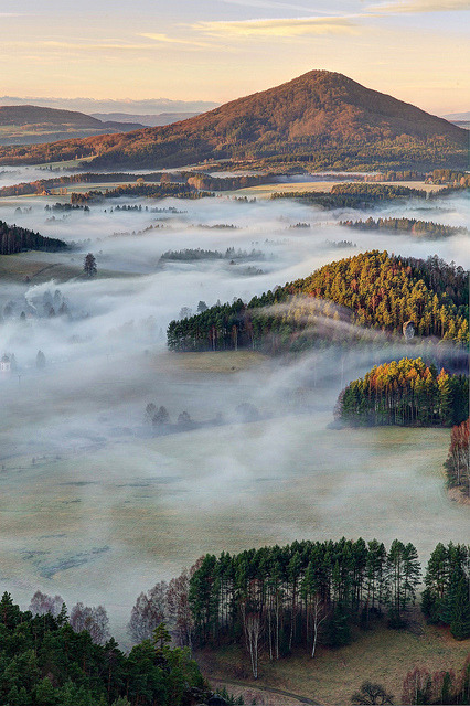 Foggy morning in Bohemian Switzerland National Park, Czech Republic